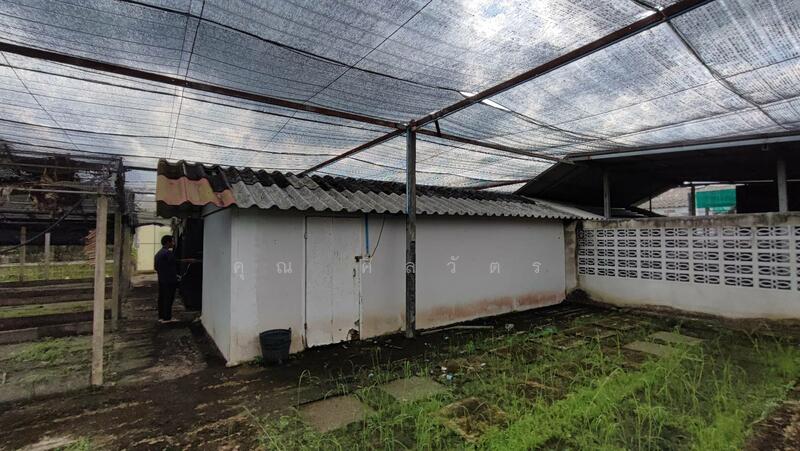 ให้เช่า - โรงงาน ในอ.ดำเนินสะดวก, ราชบุรี