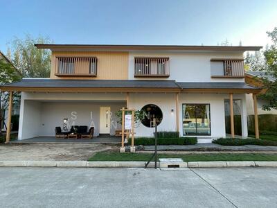 ขาย - ตำบลไชยสถาน สารภี, เชียงใหม่