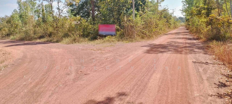 ขาย - ที่ดินโพธิ์ชัย หนองคาย, หนองคาย