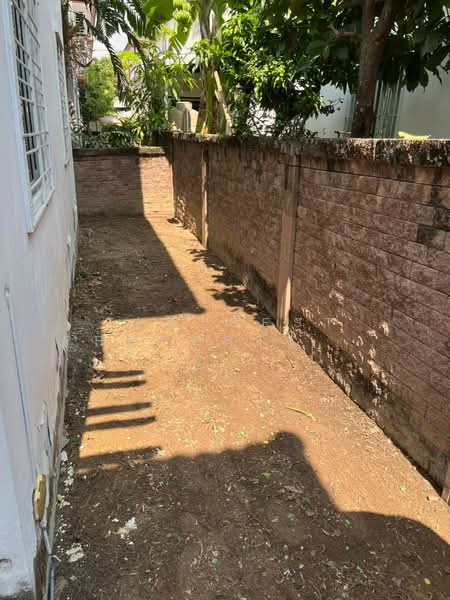 Atoll Maldives Palms : เอโทล มัลดีฟส์ ปาล์ม, สมุทรปราการ, ถนนบางนา-วงแหวน (วงแหวนตะวันออก), บางแก้ว, บางพลี, สมุทรปราการ, 120 ตร.ม., บ้านเดี่ยว ขาย, โดย The Best Property น้ำตาล, 500033880 - DDproperty.com