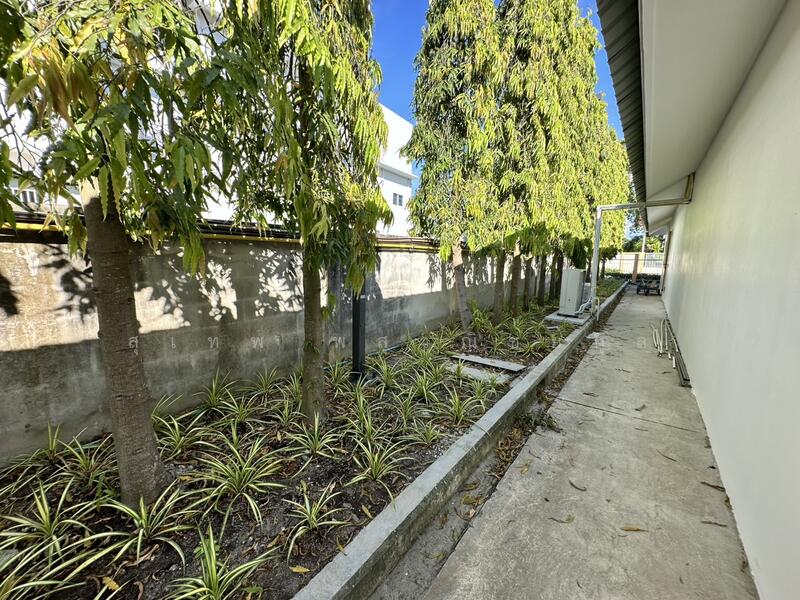 ให้เช่า - สำนักงานให้เช่า ทำเลดี ใจกลางเมืองระยอง ใกล้เซ็นทรัลและบิ๊กซี ระยอง 200 เมตร ทับมา ระยอง, ระยอง