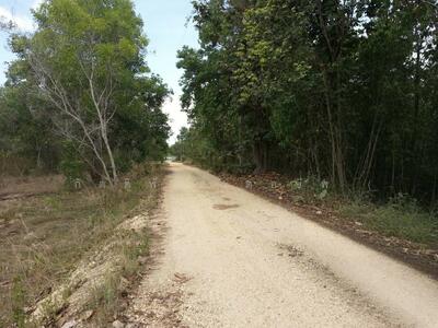 ขาย - ห้างฉัตร, ลำปาง