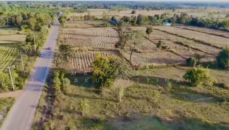 ขาย - บ้านโคกป่าฝาง เทศบาลเมืองหนองคาย, หนองคาย