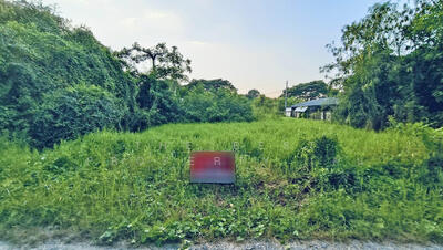 ขาย - ที่ดินหางดง เชียงใหม่, เชียงใหม่
