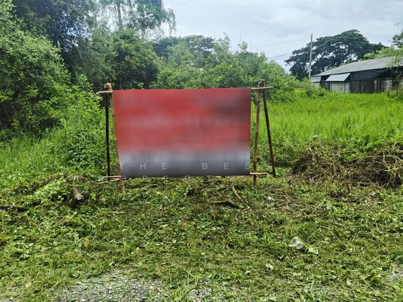 ที่ดินหางดง เชียงใหม่, Chiang Mai, Sop Mae Kha, Hang Dong, Chiang Mai, , 288 sqm, Land For Sale, by The Best Property เคน, 500036041 - DDproperty.com