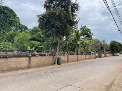 ขาย - น่าน, น่าน