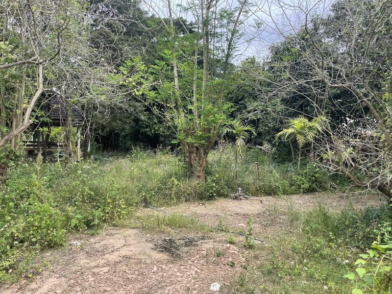 ขาย - น่าน, น่าน