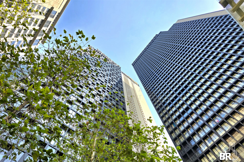 ให้เช่า - Noble Ploenchit : โนเบิล เพลินจิต, กรุงเทพ