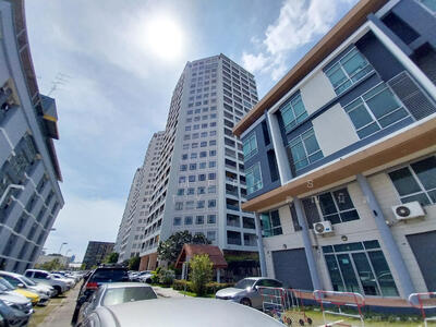 ขาย - Fak Khao Pode : ฝักข้าวโพด, กรุงเทพ