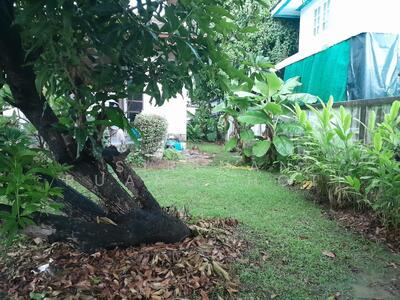 ขาย - บ้าน 4-ห้องนอน, กรุงเทพ