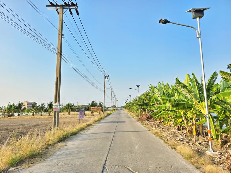 ขาย - ที่ดินบางเสาธง, สมุทรปราการ