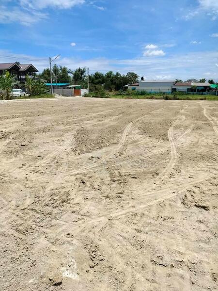 ขาย - หนองหงษ์ พานทอง ชลบุรี, ชลบุรี