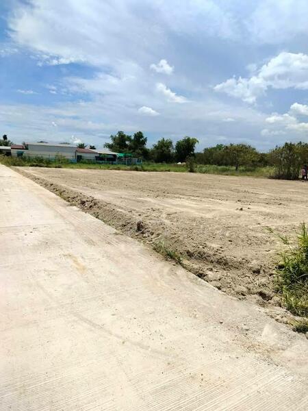 For Sale - Land for sale in Nong Hong, 265 sq m, filled in, next to a concrete road, near Highway 3023-900 m,, Chon Buri (Pattaya)