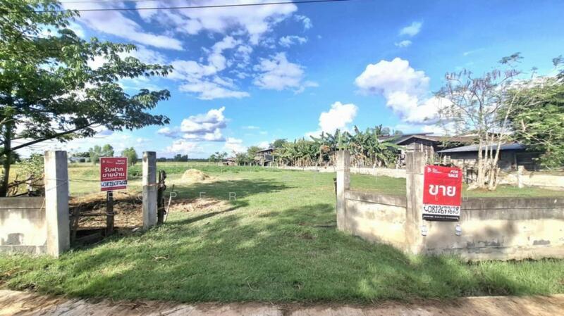 ขาย - ที่ดินพยัคฆภูมิพิสัย มหาสารคาม, มหาสารคาม