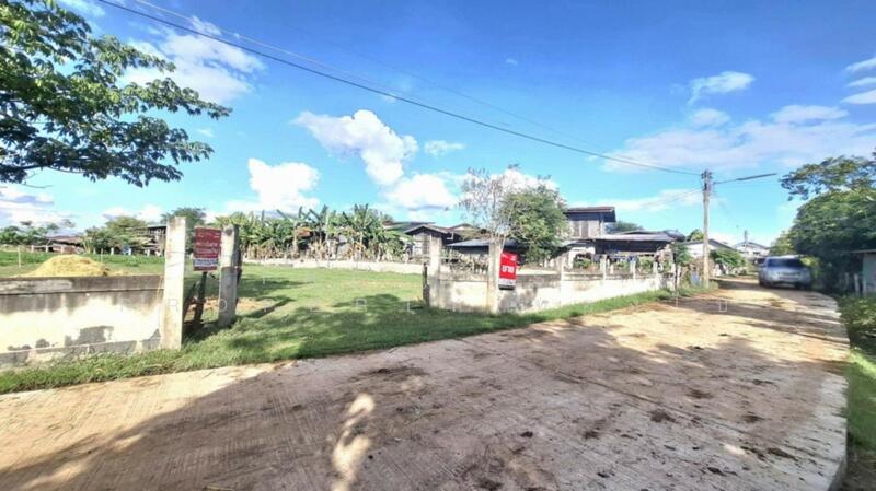 ขาย - ที่ดินพยัคฆภูมิพิสัย มหาสารคาม, มหาสารคาม