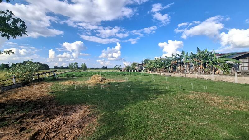 ขาย - ที่ดินพยัคฆภูมิพิสัย มหาสารคาม, มหาสารคาม