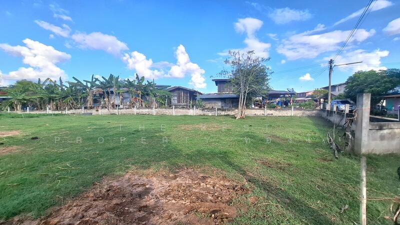 ขาย - ที่ดินพยัคฆภูมิพิสัย มหาสารคาม, มหาสารคาม