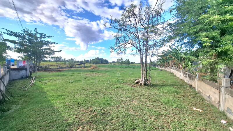 ขาย - ที่ดินพยัคฆภูมิพิสัย มหาสารคาม, มหาสารคาม