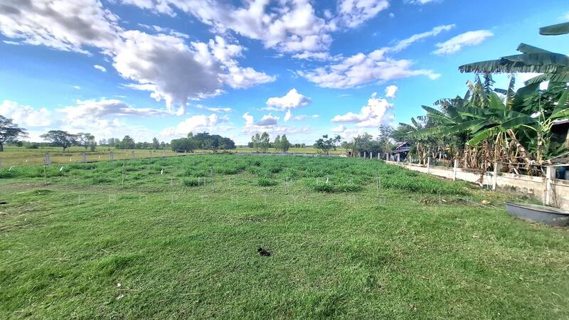 ขาย - ที่ดินพยัคฆภูมิพิสัย มหาสารคาม, มหาสารคาม