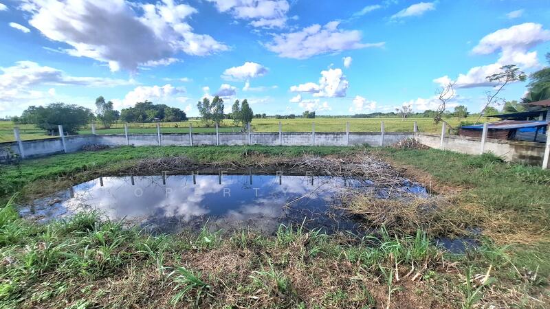 ขาย - ที่ดินพยัคฆภูมิพิสัย มหาสารคาม, มหาสารคาม