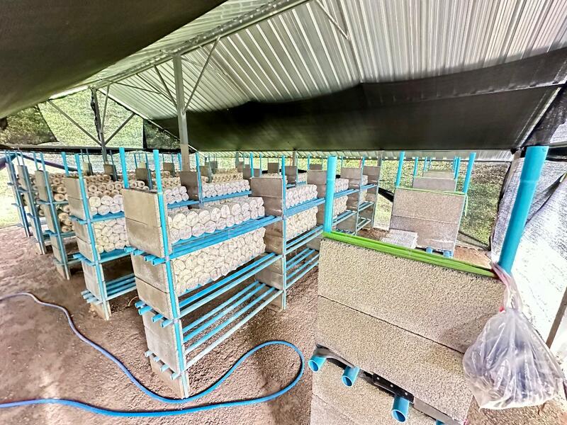 ขาย - บ้านเดี่ยวจอมบึง ราชบุรี, ราชบุรี