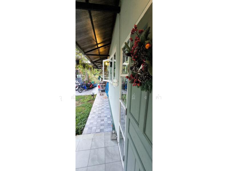 ให้เช่า - ต.ป่าแดด, เชียงใหม่