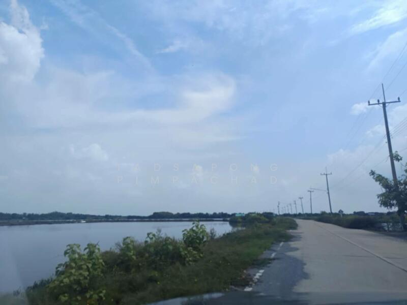 ขาย - ขายที่ดิน ท่าข้าม บางขุนเทียน เหมาะทำนากุ้ง 383.4 ตร.วา ราคาถูกเพียง 9.9 แสน, กรุงเทพ