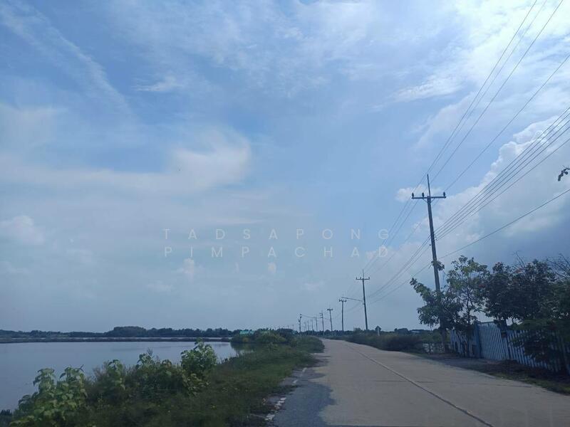 ขาย - ขายที่ดิน ท่าข้าม บางขุนเทียน เหมาะทำนากุ้ง 383.4 ตร.วา ราคาถูกเพียง 9.9 แสน, กรุงเทพ