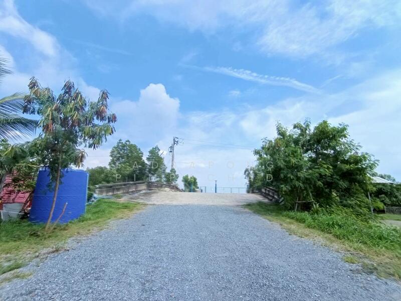 ขาย - ขายที่ดิน ท่าข้าม บางขุนเทียน เหมาะทำนากุ้ง 383.4 ตร.วา ราคาถูกเพียง 9.9 แสน, กรุงเทพ