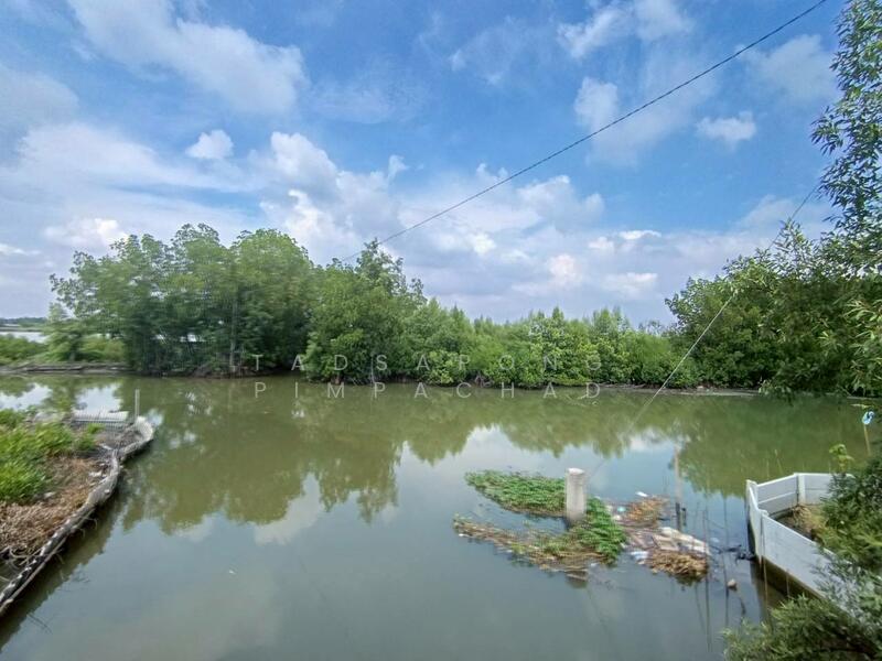 ขายที่ดิน ท่าข้าม บางขุนเทียน เหมาะทำนากุ้ง 383.4 ตร.วา ราคาถูกเพียง 9.9 แสน, Bangkok, Tha Kham, Bang Khun Thian, Bangkok, , 4,732 sqm, Land For Sale, by Tadsapong Pimpachad, 500042166 - DDproperty.com