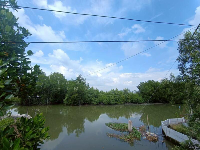 ขาย - ขายที่ดิน ท่าข้าม บางขุนเทียน เหมาะทำนากุ้ง 383.4 ตร.วา ราคาถูกเพียง 9.9 แสน, กรุงเทพ