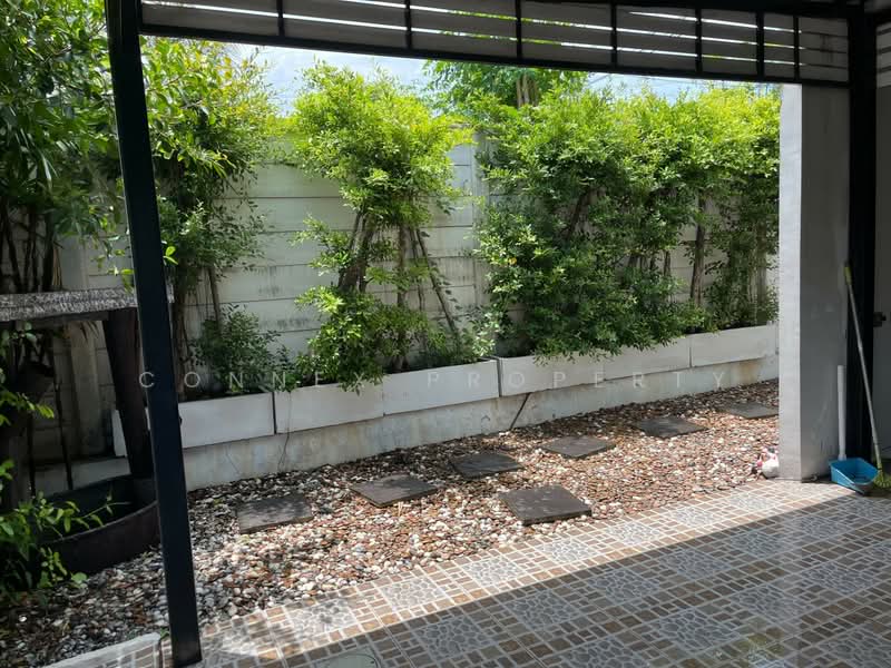 อารียา คัลเลอร์ 3 พรีเมี่ยม, กรุงเทพ, ลาดปลาเค้า, จรเข้บัว, ลาดพร้าว, กรุงเทพ, 128 ตร.ม., ทาวน์เฮ้าส์ ขาย, โดย Connex Property, 500042631 - DDproperty.com