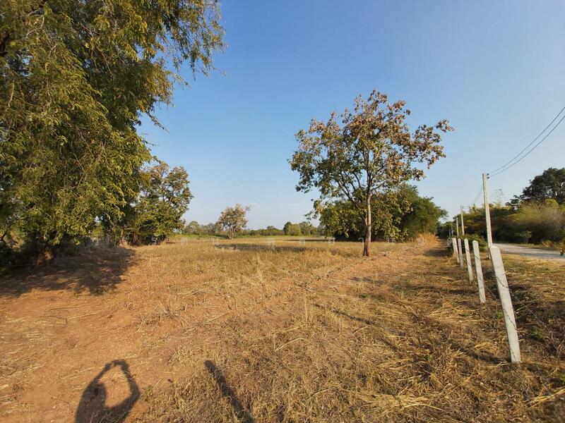 ขาย - ที่ดินสวยแปลงใหญ่ หน้ากว้างติดถนน อ.หนองไผ่ จ.เพชรบูรณ์, เพชรบูรณ์