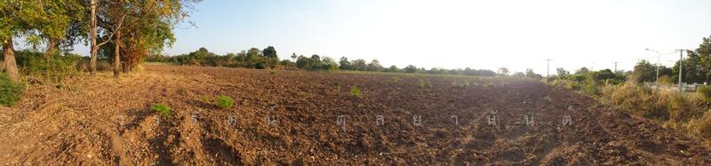 ขาย - ที่ดินสวยแปลงใหญ่ หน้ากว้างติดถนน อ.หนองไผ่ จ.เพชรบูรณ์, เพชรบูรณ์