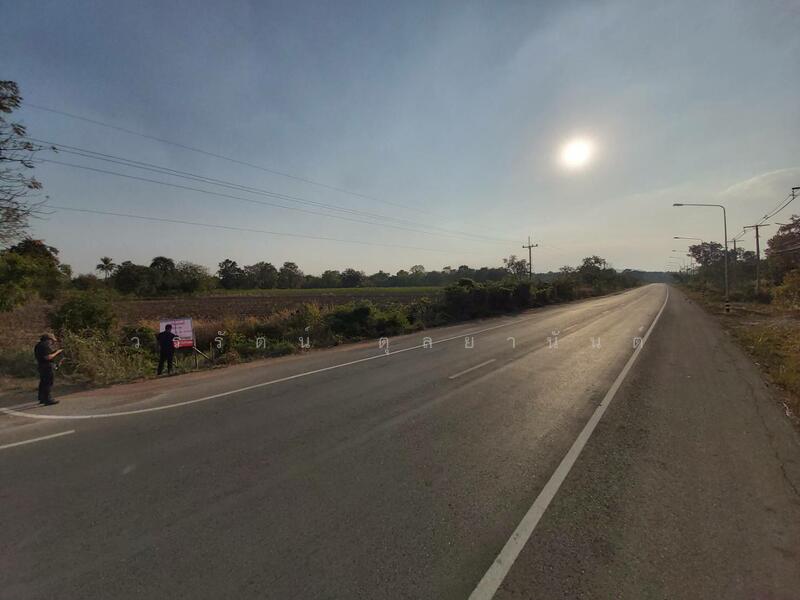 ขาย - ที่ดินสวยแปลงใหญ่ หน้ากว้างติดถนน อ.หนองไผ่ จ.เพชรบูรณ์, เพชรบูรณ์