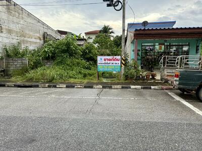 ขาย - ขายที่ดินเนื้อที่ 36 ตร.ว. ตลาดบางแก้ว ต.ท่ามะเดื่อ อ.บางแก้ว จ.พัทลุง, พัทลุง