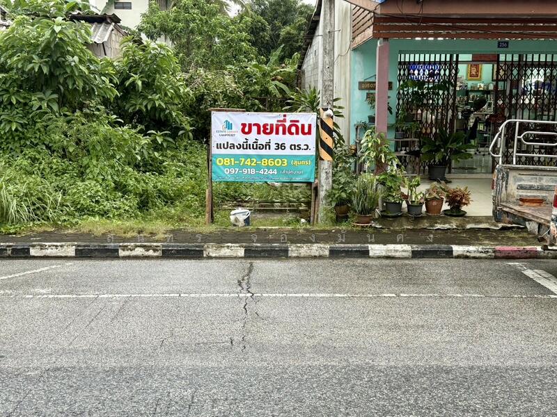 ขาย - ขายที่ดินเนื้อที่ 36 ตร.ว. ตลาดบางแก้ว ต.ท่ามะเดื่อ อ.บางแก้ว จ.พัทลุง, พัทลุง