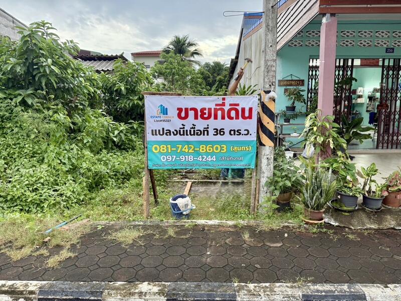 ขาย - ขายที่ดินเนื้อที่ 36 ตร.ว. ตลาดบางแก้ว ต.ท่ามะเดื่อ อ.บางแก้ว จ.พัทลุง, พัทลุง