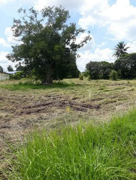 ขาย - ที่ดินบ้านบึง ชลบุรี, ชลบุรี