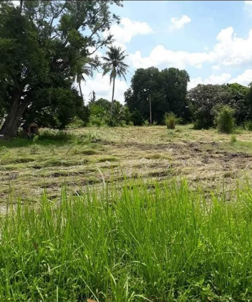 ขาย - ที่ดินบ้านบึง ชลบุรี, ชลบุรี