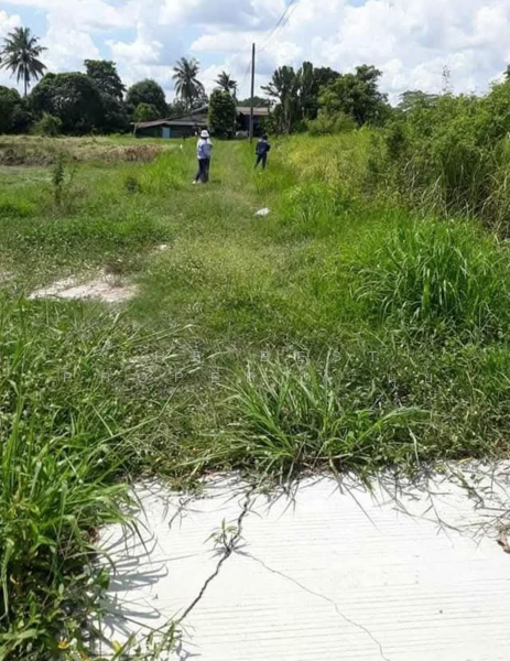 ขาย - ที่ดินบ้านบึง ชลบุรี, ชลบุรี