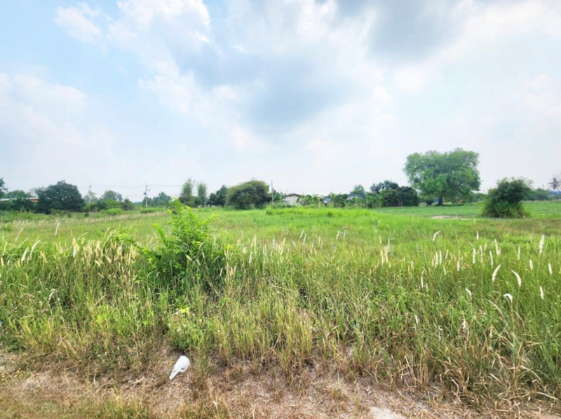 ขาย - ที่ดินบ้านบึง ชลบุรี, ชลบุรี