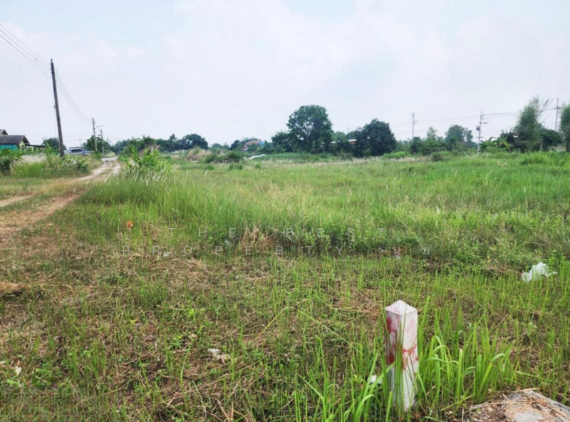 ขาย - ที่ดินบ้านบึง ชลบุรี, ชลบุรี