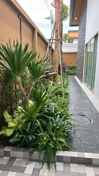 Baan Mae Bibury (Phase 2), Chon Buri (Pattaya), Thung Klom - Tan Man 18 Rd, Nong Pru, Bang Lamung (Pattaya), Chon Buri (Pattaya), 4 Bedrooms, 429 sqm, Villa For Rent, by สิชา บุญธนาภิพัฒน์, 500042922 - DDproperty.com