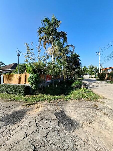 For Sale - บ้านเดี่ยวพร้อมที่ดินสันทราย เชียงราย, Chiang Rai