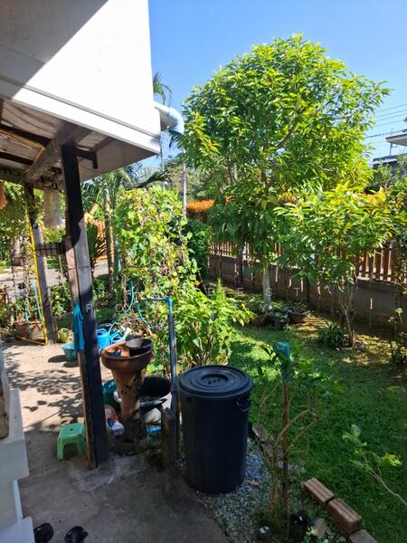 For Sale - บ้านเดี่ยวพร้อมที่ดินสันทราย เชียงราย, Chiang Rai