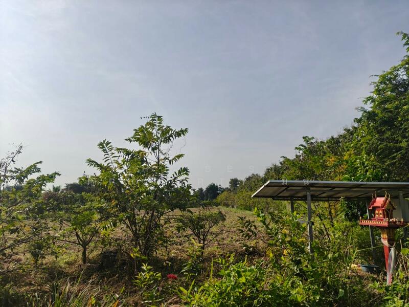 ขาย - ที่ดินหล่มสัก เพชรบูรณ์, เพชรบูรณ์