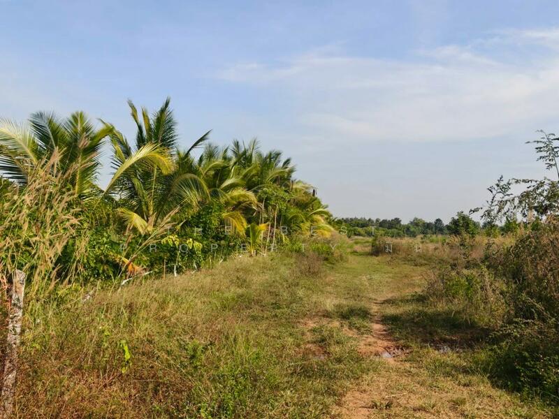 ขาย - ที่ดินหล่มสัก เพชรบูรณ์, เพชรบูรณ์