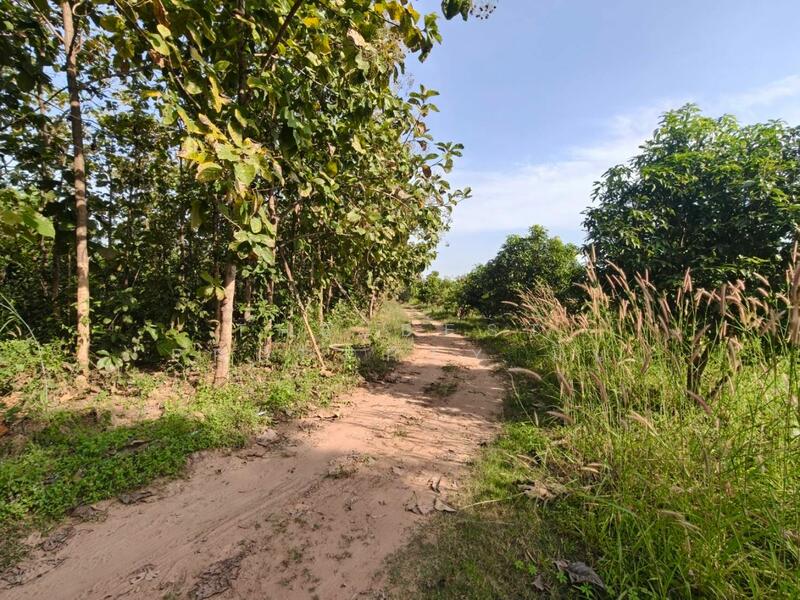 ขาย - ที่ดินหล่มสัก เพชรบูรณ์, เพชรบูรณ์