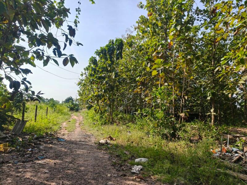 ขาย - ที่ดินหล่มสัก เพชรบูรณ์, เพชรบูรณ์